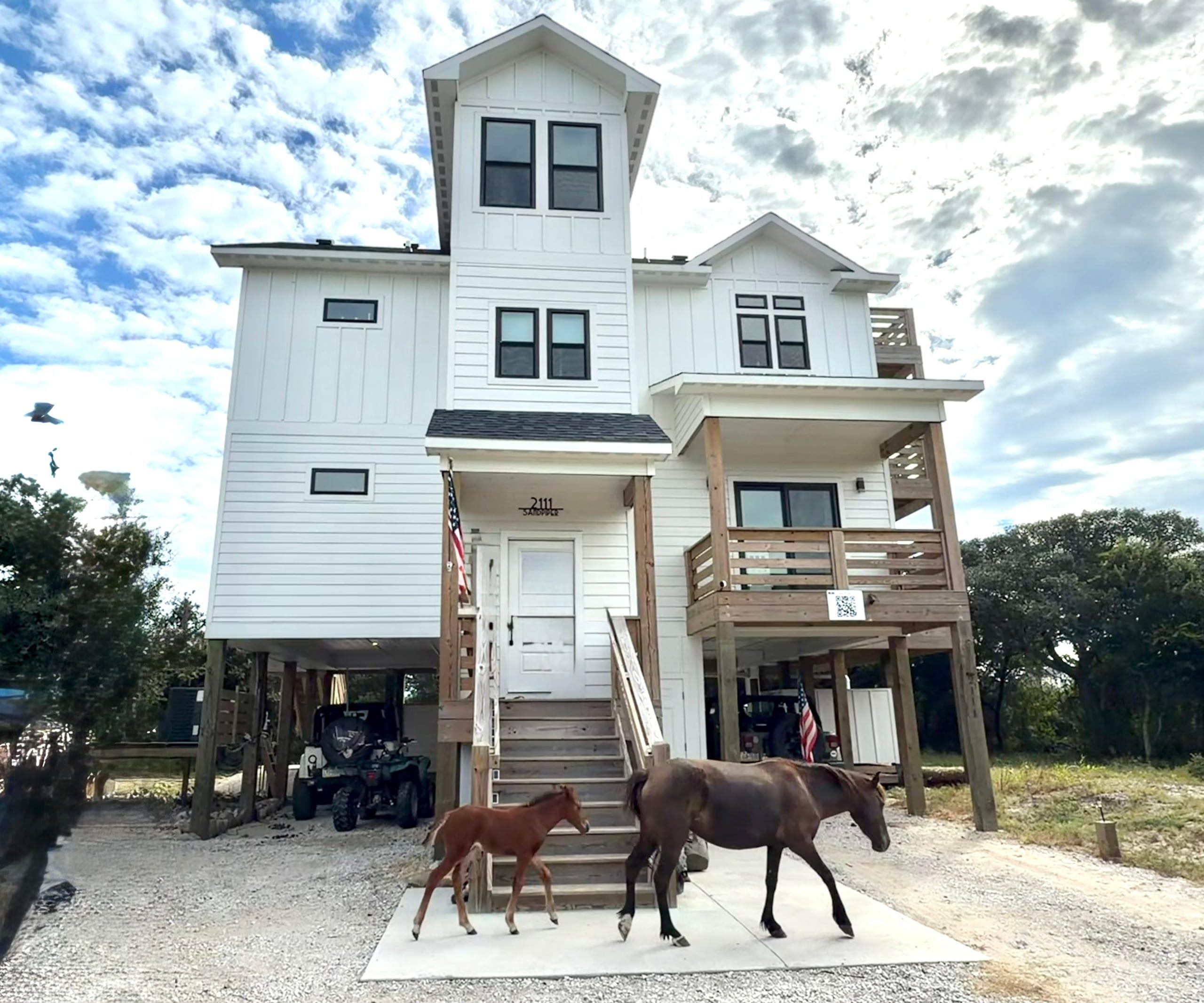 OBX to Sea in Carova, Outer Banks